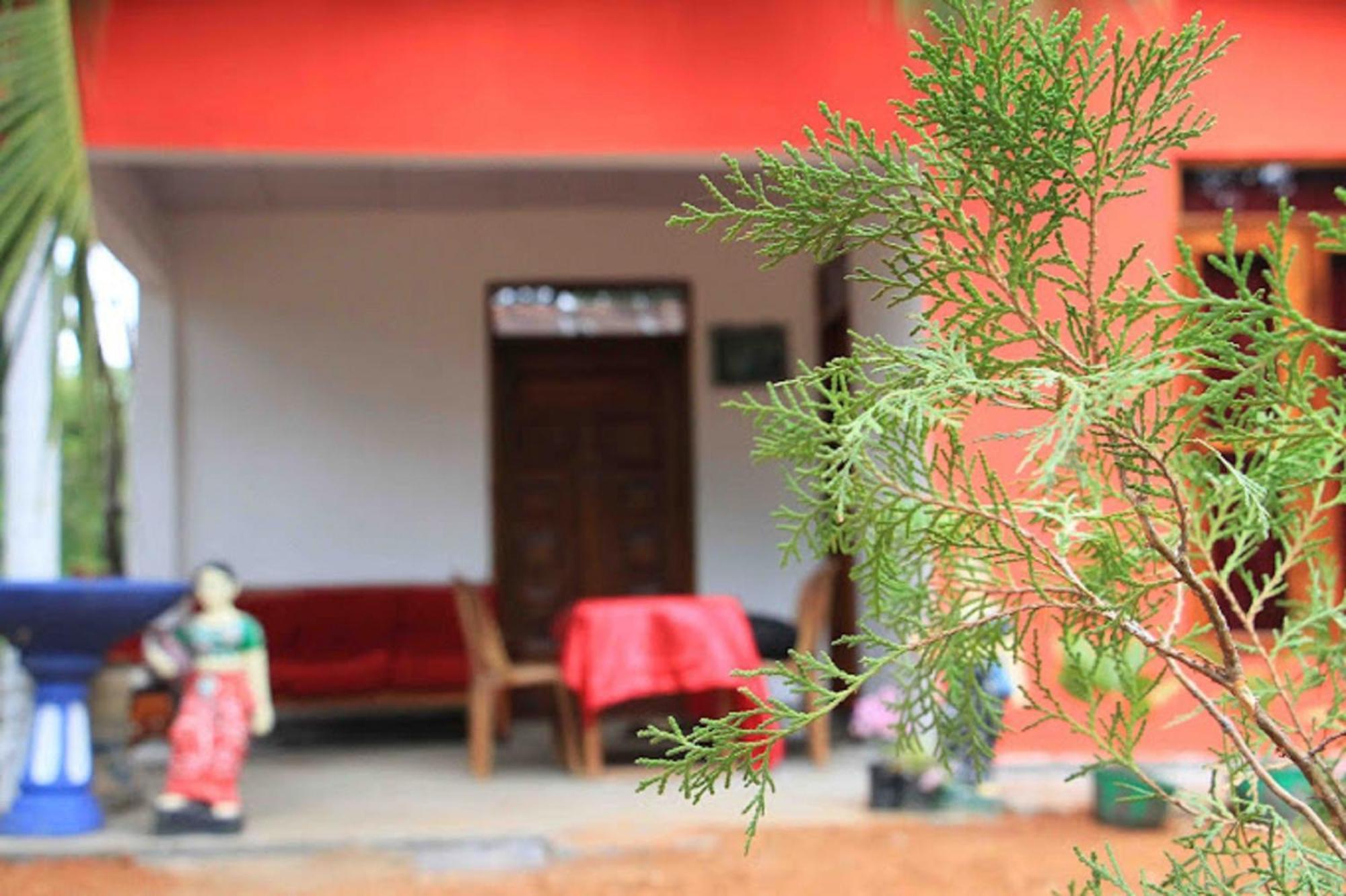 Nelum Home Stay Sigiriya Ngoại thất bức ảnh