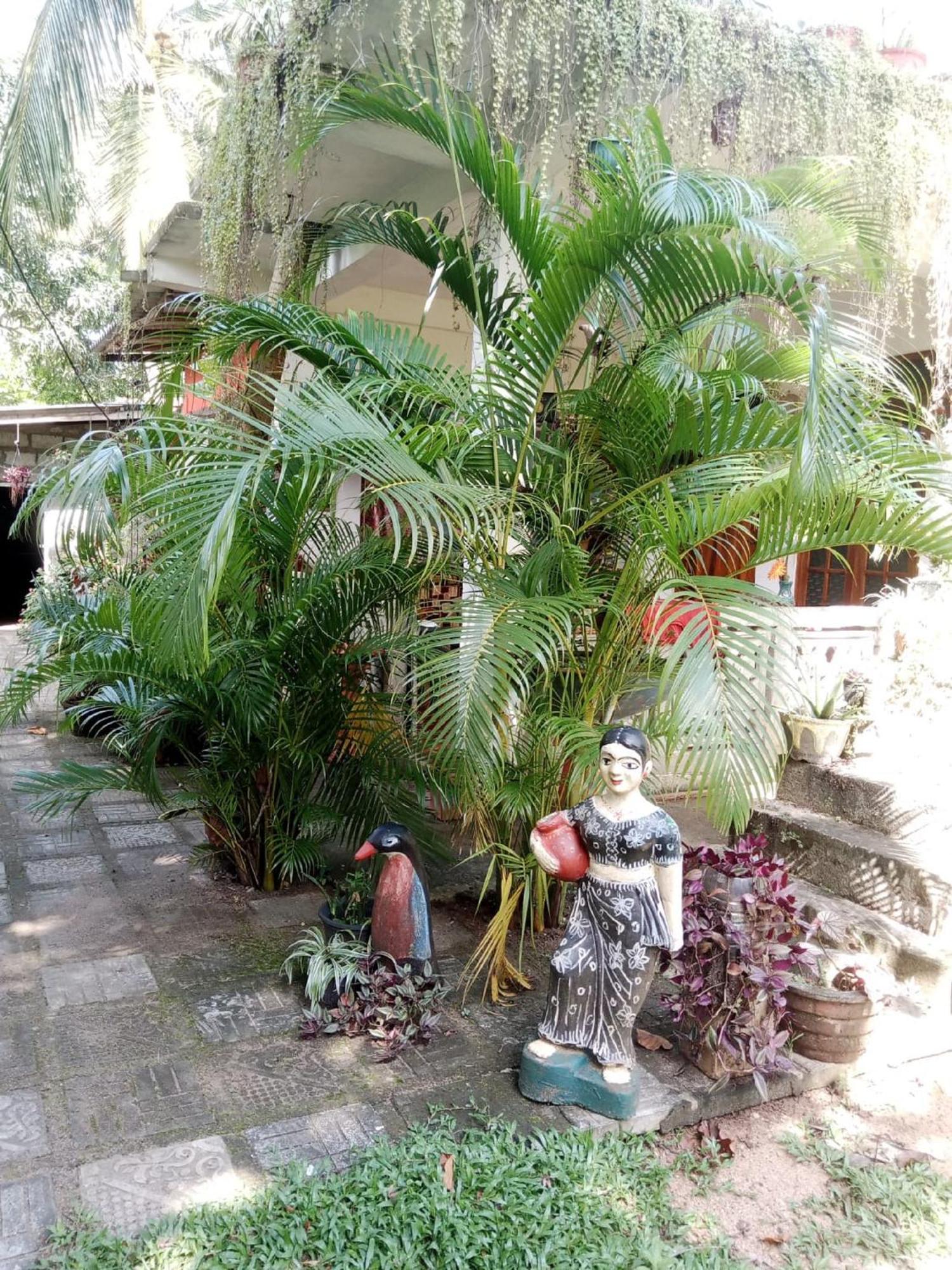 Nelum Home Stay Sigiriya Ngoại thất bức ảnh